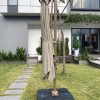 Ảnh thực tế ô dù lệch tâm ROMA R08 đã lắp đặt tại sân vườn khách hàng